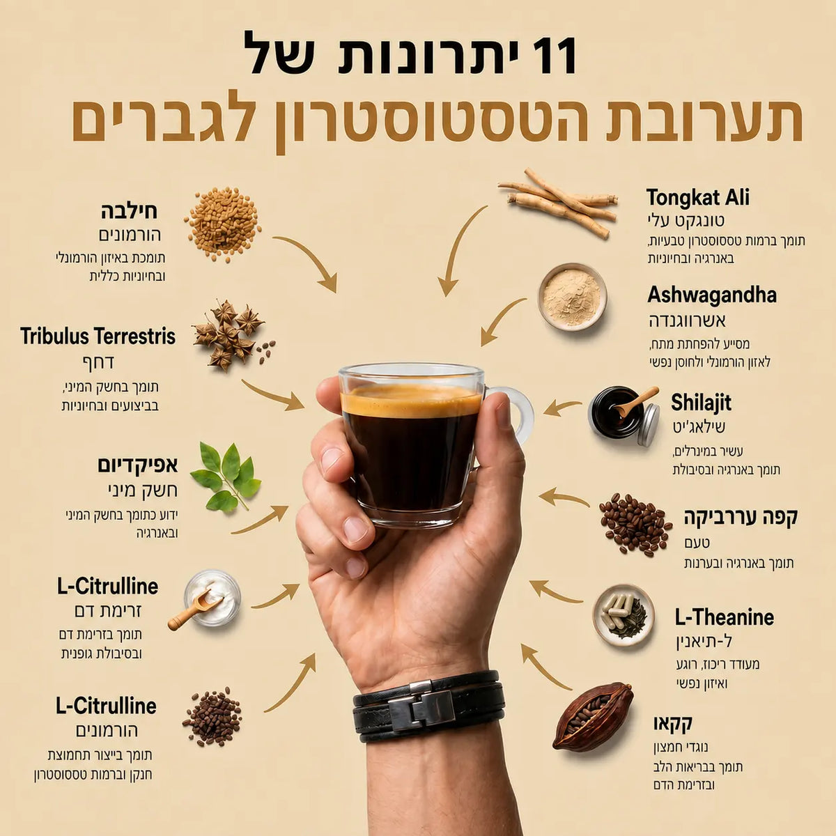 Alpha Brew — תמונת מוצר 6